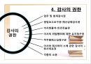 기업의 감사 (감사, 검사인, 외부감사제도).ppt 12페이지
