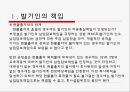 회사설립에 관한 책임.ppt 6페이지