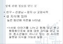청년기의 성행동과 문제 [성적발달] 82페이지