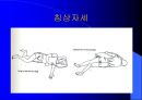 관절운동 및 침상자세 16페이지