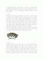 무역학 - 공정무역에 대해서 5페이지
