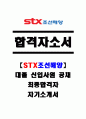 [합격자소서] STX조선해양 대졸 신입사원 공채 최종합격자 자기소개서 유출  STX 채용  STX 합격방법 1페이지