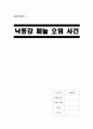 [A+] [공학윤리사례] 낙동강 페놀 오염 사건 (낙동강 페놀 오염의 유출 과정 및 원인, 대응 및 결과에 따른 분석, 낙동강 페놀 오염의 결과) 1페이지
