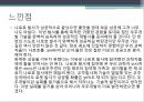 [A+] [공학윤리사례] 나로호 발사 (나로호의 현안과 방향성 제시, 나로호란 무엇인가, 나로호의 의의 및 연구사례, 실패원인 및 문제점, 앞으로의 전개방안).ppt 8페이지