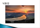 [A+] [공학윤리사례] 낙동강 페놀 유출 사건  낙동강 페놀 오염의 유출 및 원인  유출 후 대응  오염의 결과  두산전자 불법방류  클로로페놀  발암성 유독물질 4페이지
