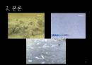 [A+] [공학윤리사례] 광양만 제방붕괴사고  사고발생  제방사용목적  제방붕괴의 원인  제방의 안정성  윤리적오류  문제점  제방붕괴후 피해  해결방안  포스코 광양제철소 16페이지