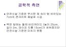 [A+] [공학윤리사례] 분당 이마트 주차장 추락사고  부실공사사례  안전불감증 사례  운전미숙 사례  공학적오류  안전시설 기준  윤리적오류 8페이지