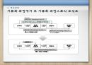 [A+] 항공물류에서의 SCM, 항공물류 정보화의 현황 및 문제점, 해외 선진사례, FedEX의 e-business 전략, 페덱스, DHL, 개선방안.ppt 39페이지