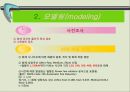 [A+] 화재시나리오 - 신세계백화점, potassium cyanide, 화재 시나리오 작성, 모델링(modeling), Trash Fire, 화재 시나리오 적용기준, 시간변화에 따른 연기확산.ppt 6페이지