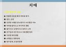 여성과 건강 - 노년기의 건강관리.ppt 33페이지