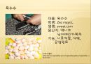 [채소 원예총론] 식물 형태학적 분류.ppt 10페이지