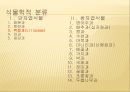 [채소 원예총론] 식물 형태학적 분류.ppt 16페이지