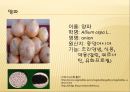 [채소 원예총론] 식물 형태학적 분류.ppt 22페이지