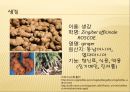 [채소 원예총론] 식물 형태학적 분류.ppt 29페이지