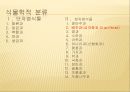 [채소 원예총론] 식물 형태학적 분류.ppt 35페이지