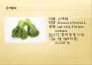 [채소 원예총론] 식물 형태학적 분류.ppt 44페이지