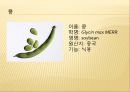 [채소 원예총론] 식물 형태학적 분류.ppt 58페이지
