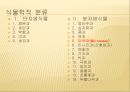 [채소 원예총론] 식물 형태학적 분류.ppt 62페이지