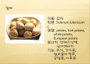 [채소 원예총론] 식물 형태학적 분류.ppt 78페이지