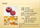 [채소 원예총론] 식물 형태학적 분류.ppt 81페이지