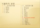 [채소 원예총론] 식물 형태학적 분류.ppt 82페이지