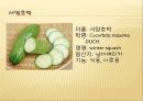 [채소 원예총론] 식물 형태학적 분류.ppt 86페이지