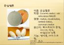 [채소 원예총론] 식물 형태학적 분류.ppt 89페이지