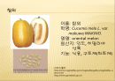 [채소 원예총론] 식물 형태학적 분류.ppt 90페이지