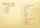 [채소 원예총론] 식물 형태학적 분류.ppt 93페이지