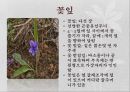 식물 관찰 보고서 5페이지