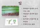 식물 관찰 보고서 8페이지