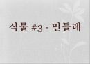 식물 관찰 보고서 14페이지