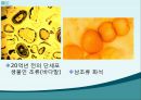 지구과학 - 지구의 역사에 대해서 17페이지