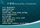 지구과학 - 지구의 역사에 대해서 19페이지
