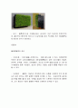 [중소기업과 창업] 사업계획서 - E-Wall(설계시공) 7페이지