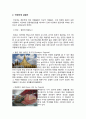 [중국경제론] ‘미얀마’의 관광산업 특화 - 후진국 발전에 대해 6페이지