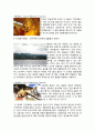 [중국경제론] ‘미얀마’의 관광산업 특화 - 후진국 발전에 대해 8페이지