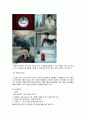 삼성 하우젠의 버블과 LG 트롬세탁기 광고전략 비교 8페이지