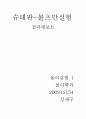 슈테판_볼츠만_결과re 1페이지
