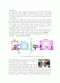 슈테판_볼츠만_결과re 20페이지