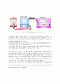 슈테판_볼츠만_결과re 26페이지