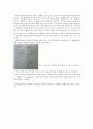 슈테판_볼츠만_결과re 31페이지