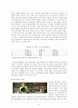 쿠쿠홈시스의 전략 분석 9페이지