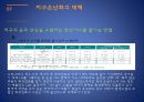우리나라의 기상이변에 따른 환경변화 30페이지