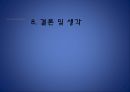 우리나라의 기상이변에 따른 환경변화 33페이지