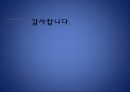 우리나라의 기상이변에 따른 환경변화 35페이지