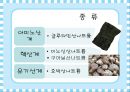 화학조미료[MSG]가 인체에 미치는 영향 4페이지