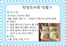 화학조미료[MSG]가 인체에 미치는 영향 11페이지