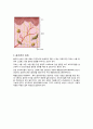콜라겐의 모든 것 4페이지