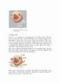 콜라겐의 모든 것 5페이지